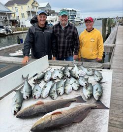 A group of 3 people fishing for redfish in Morehead City