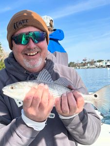 Redfish caught by angler in Morehead City