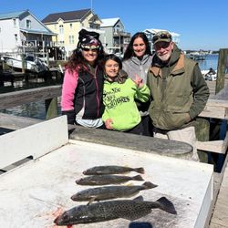 Redfish caught by 5 people in Morehead City during fishing