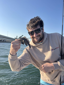 Reeling in the catch of the day.