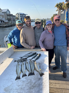 Reeling in the catch of the day!