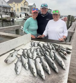 Large catch of Spanish Mackerel displayed on dock in Morehead City NC after successful fishing trip