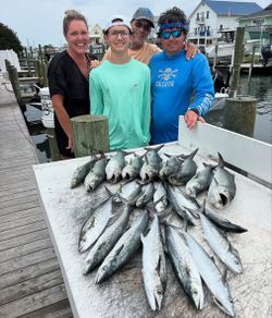 Spanish mackerel catch displayed on cleaning table at fishing dock in Morehead City NC