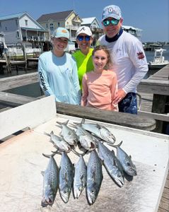 Spanish mackerel fishing catch displayed on dock in Morehead City NC