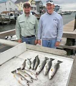 Spotted Weakfish caught in NC