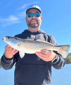 Spotted weakfish caught by angler in Morehead City