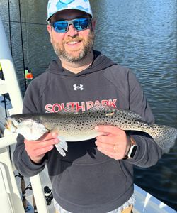 Spotted weakfish caught in Morehead City