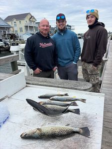 Two spotted weakfish caught fishing in Morehead City
