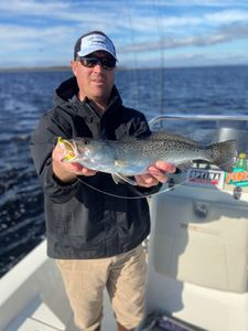 Spotted Weakfish, 22-inch fish caught while fishing in North Carolina