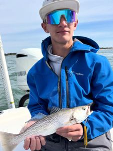 Squeteague fish caught in Morehead City
