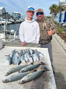 5 squeteague and crevalle jack fish caught in NC
