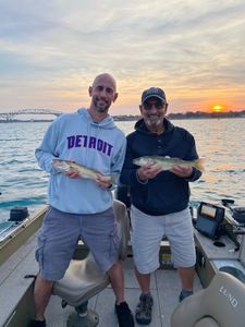 Lake Huron Walleye