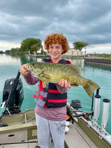 Lake St. Clair Bass