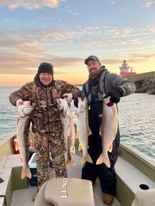 Four rainbow trout, great barracuda, and lake trout in Algonac