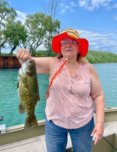 Single angler fishing in Algonac