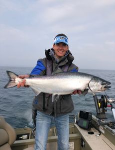 Chinook Salmon caught in Algonac while fishing