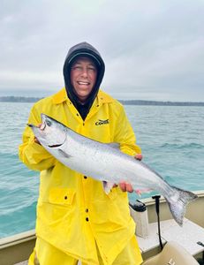 Chinook Salmon, a big fish caught while fishing in MI