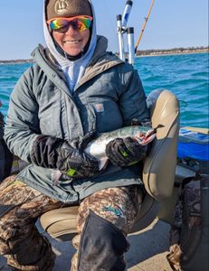 One pink salmon fish caught while fishing in MI