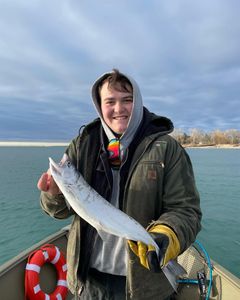 Fisherman enjoying a great day of fishing in Algonac
