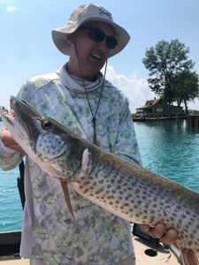 Musky On Lake St. Clair