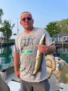 Northern Pike Fishing Trips On Lake St. Clair