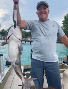 Photograph of a white catfish measuring 27 inches caught while fishing in MI.