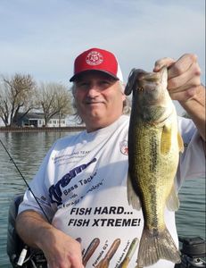 Impressive catch of a largemouth bass in Algonac