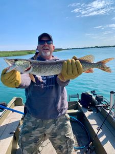 Impressive catch of a Northern Pike fish in Algonac