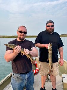 Two Northern Pike caught in Algonac while fishing