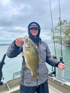 Smallmouth bass caught while fishing in Algonac