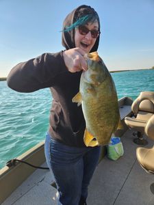 Smallmouth Bass caught by angler in MI