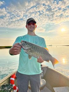 Smallmouth bass caught in MI during fishing