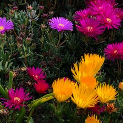 Scenic view of Florida landscape