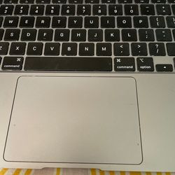 Exciting cruises and experiences in Tampa, Florida