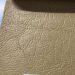 Serene Florida landscape with scenic outdoor activities