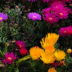 Scenic view of Florida coastline