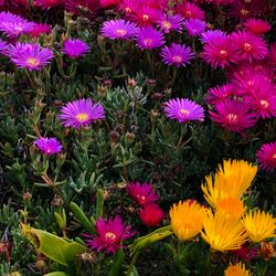 Scenic view of Florida coastline