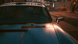 Single large fish caught in Florida