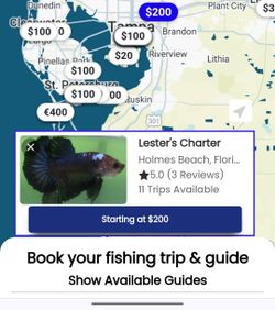 Vibrant cruises and fishing adventures in Florida