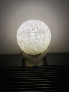 Scenic view of Florida landscape