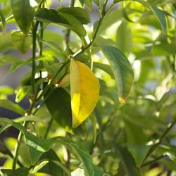 Breathtaking landscape of Florida's natural beauty