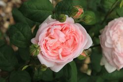 Beautiful Florida landscape with fishing and water sports activities