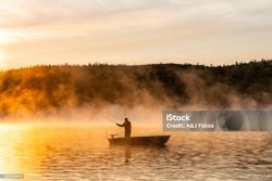 Breathtaking landscape of Florida's natural beauty