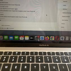 Scenic view of Florida landscape