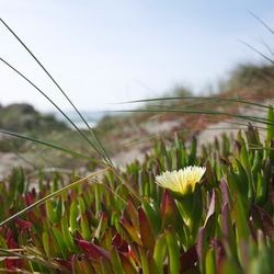 A breathtaking coastal landscape in Florida