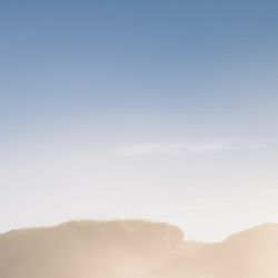 Scenic view of Tampa, Florida