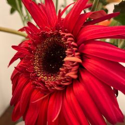 Scenic view of Tampa, Florida