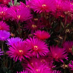 Outdoor adventure in Tampa, Florida