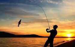 Tampa fishing and water sports adventure