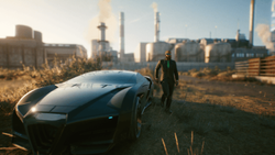 Beautiful landscape in Tampa, Florida